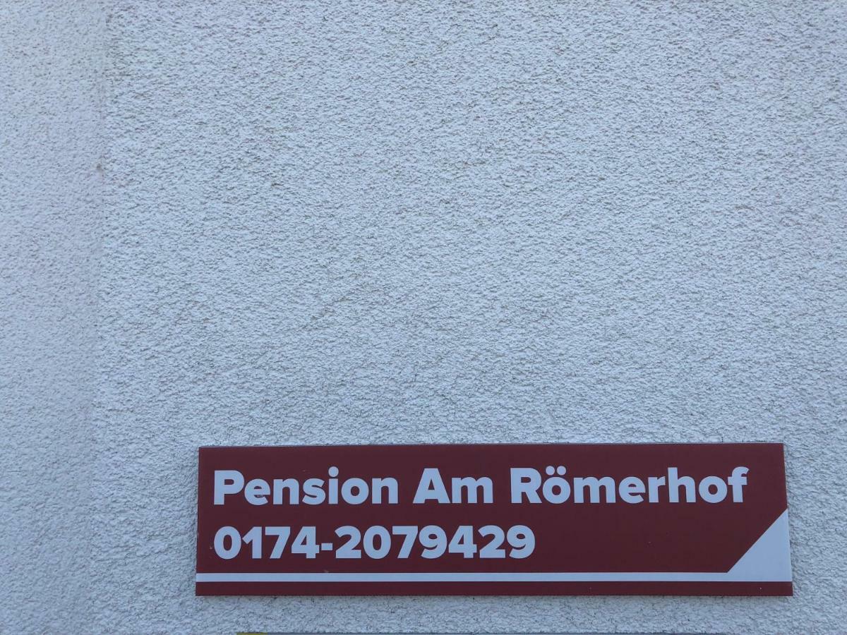 Pension Am Roemerhof Munzenberg Exterior photo